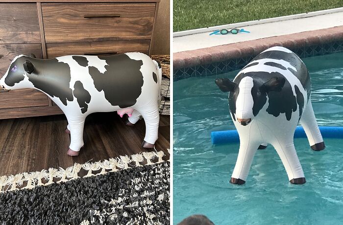 23 Ridiculously Clever Impulse Buys You&#8217;ll Actually Use All The Time