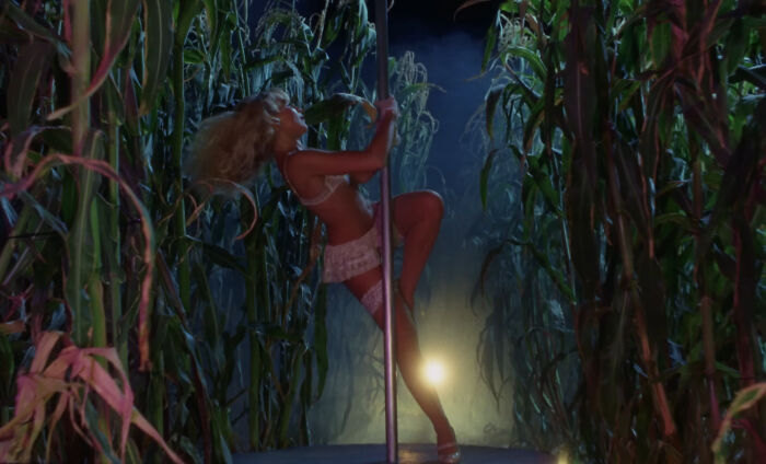 Sabrina Carpenter Strips Down To Pole Dance And Crawl On All-Fours In New Video, Gets Brutally Roasted