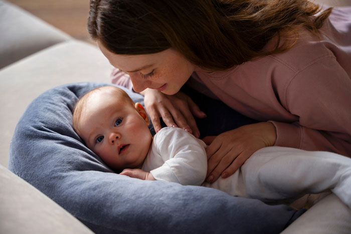 Woman Asks Why She Should Pay With A &#8220;Literal [Babysitting] Professional In The Same Home&#8221; For Free