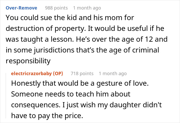 Widow Makes All The Excuses In The Book For Her &#8220;Grieving&#8221; Son, Sis Snaps As He Burns Her Kid&#8217;s Bag