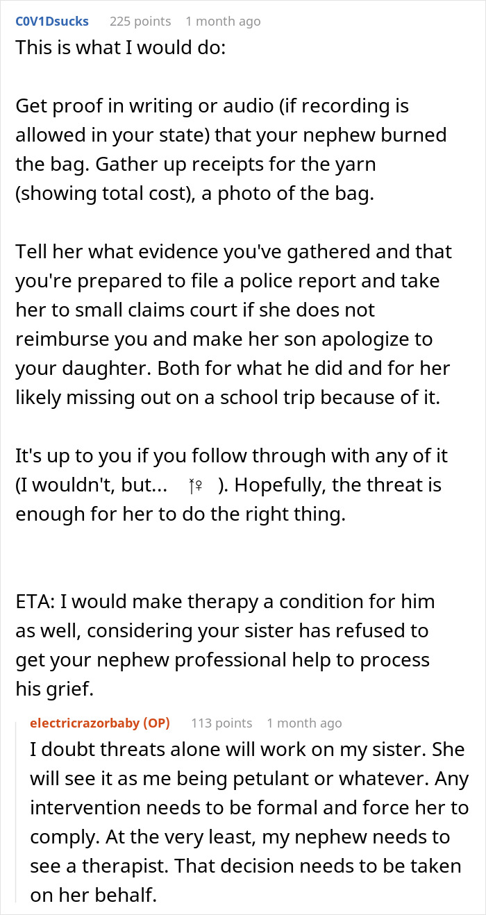 Widow Makes All The Excuses In The Book For Her &#8220;Grieving&#8221; Son, Sis Snaps As He Burns Her Kid&#8217;s Bag