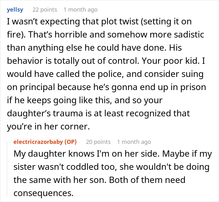 Widow Makes All The Excuses In The Book For Her &#8220;Grieving&#8221; Son, Sis Snaps As He Burns Her Kid&#8217;s Bag