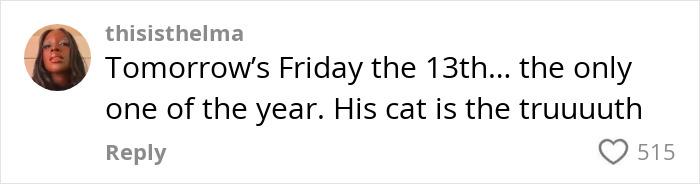 Woman Adopts Cat Who Was Returned Twice, Goes Viral After Learning His Incredible Hidden Talent