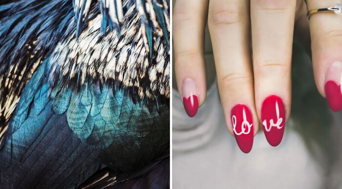 30 No-Win ‘Would You Rather’ Situations That Will Have You Second-Guessing &#8211; Cast Your Vote