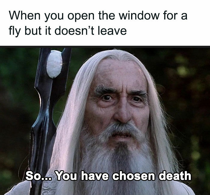 80 LOTR Memes Only True Fans May Appreciate