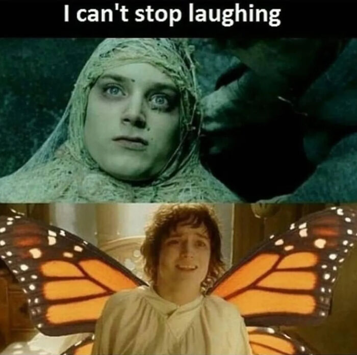 80 LOTR Memes Only True Fans May Appreciate
