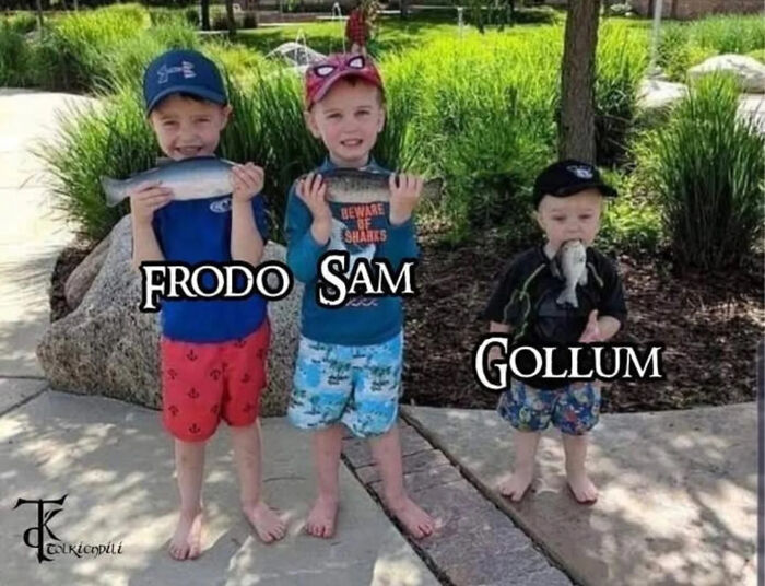 80 LOTR Memes Only True Fans May Appreciate