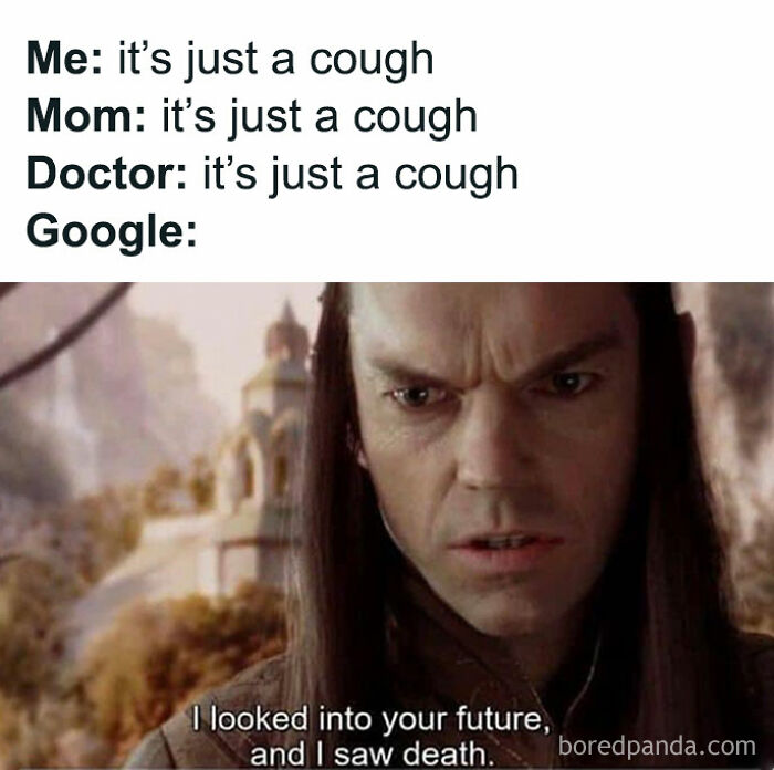 80 LOTR Memes Only True Fans May Appreciate