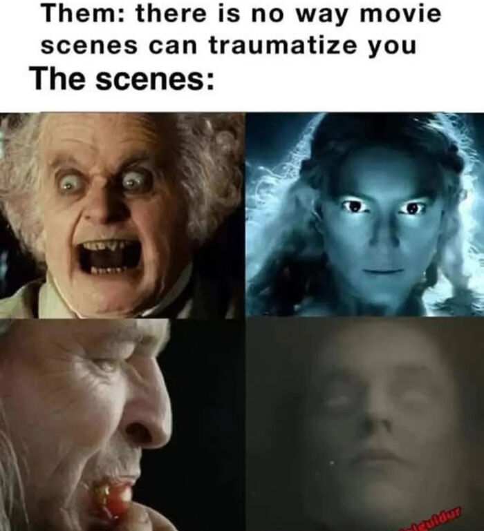 80 LOTR Memes Only True Fans May Appreciate
