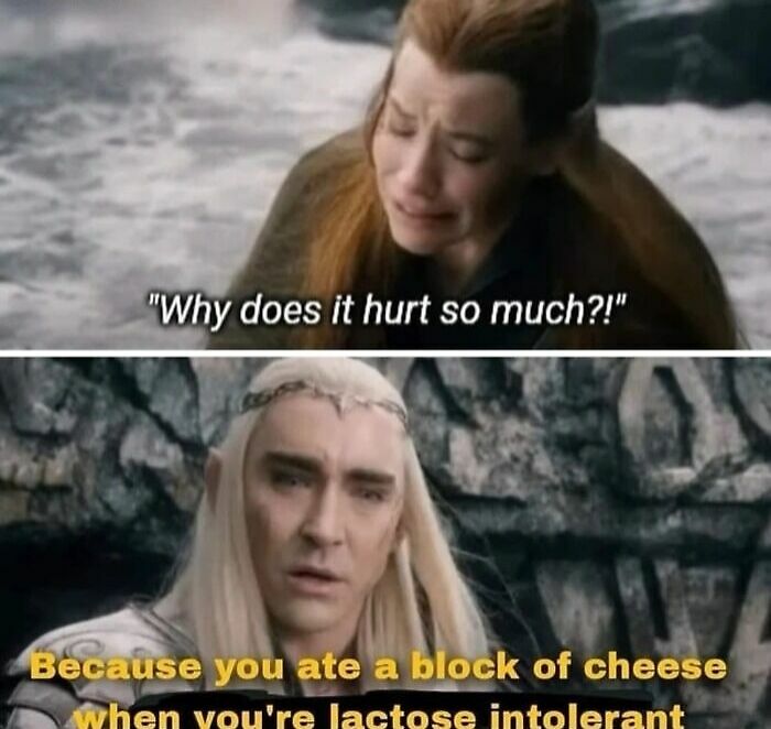 80 LOTR Memes Only True Fans May Appreciate