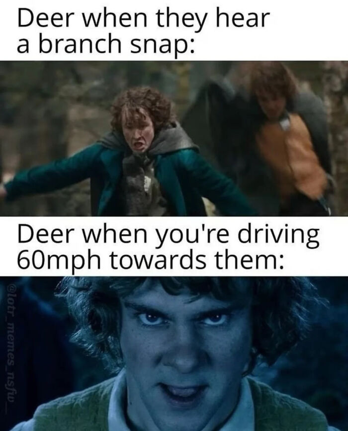 80 LOTR Memes Only True Fans May Appreciate