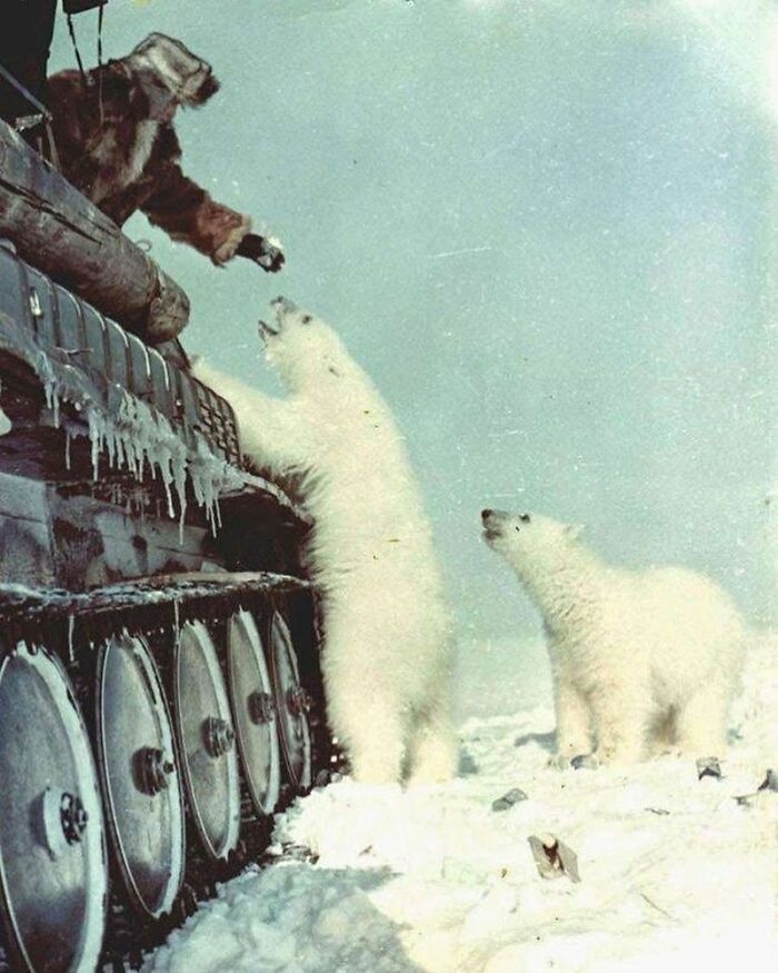 80 Historical Facts And Events That Not Many Talk About