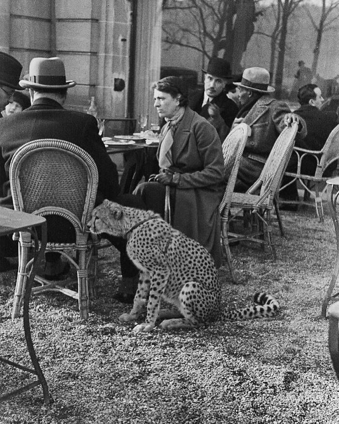 80 Historical Facts And Events That Not Many Talk About