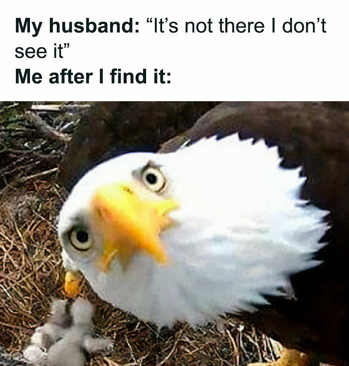 80 Marriage Memes That Are Funny Because They’re True