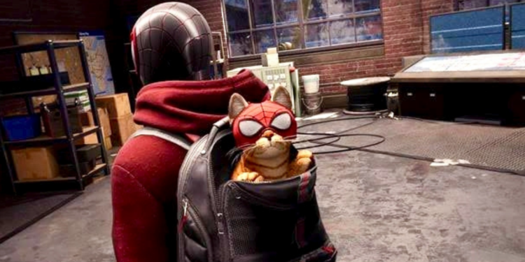 Alan Tudyk as Bodega Cat