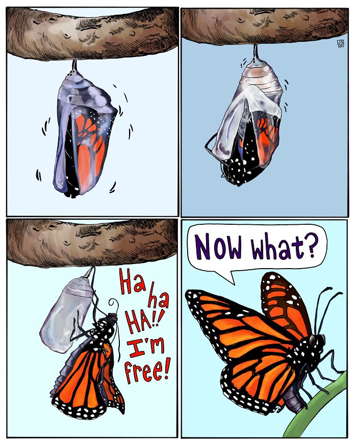 76 Animal Comics That Might Make You Laugh And Smile