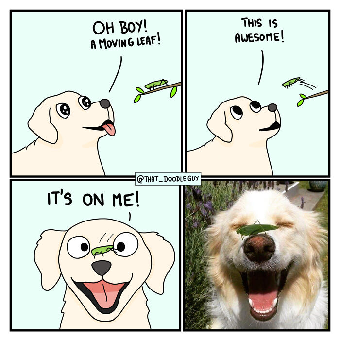 76 Animal Comics That Might Make You Laugh And Smile