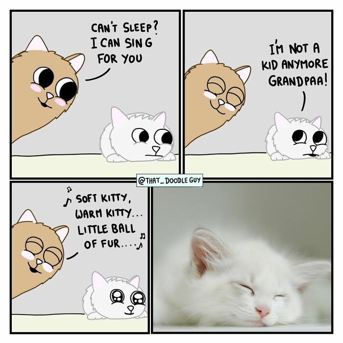 76 Animal Comics That Might Make You Laugh And Smile