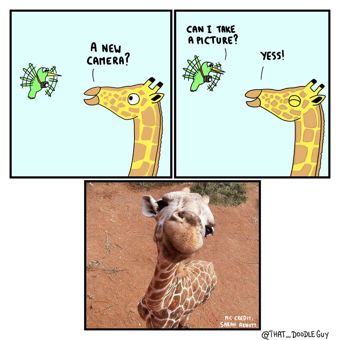 76 Animal Comics That Might Make You Laugh And Smile