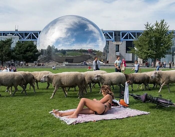 110 Powerful Street Photos That Reveal The Beauty Of Everyday Life