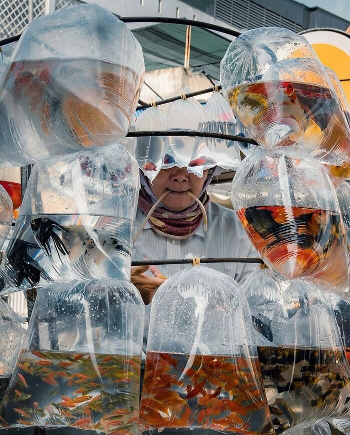 110 Powerful Street Photos That Reveal The Beauty Of Everyday Life