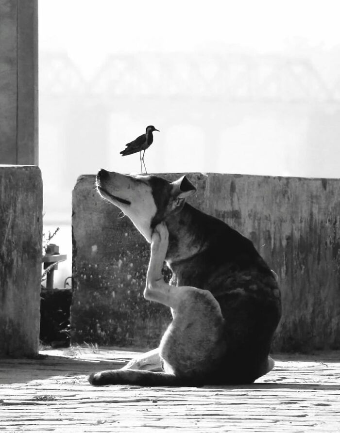 110 Powerful Street Photos That Reveal The Beauty Of Everyday Life