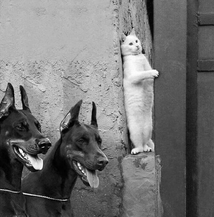 110 Powerful Street Photos That Reveal The Beauty Of Everyday Life