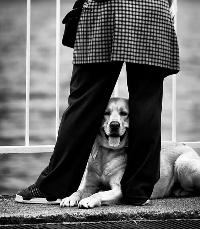110 Powerful Street Photos That Reveal The Beauty Of Everyday Life