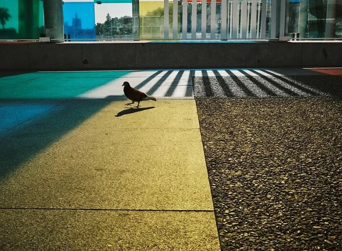 110 Powerful Street Photos That Reveal The Beauty Of Everyday Life