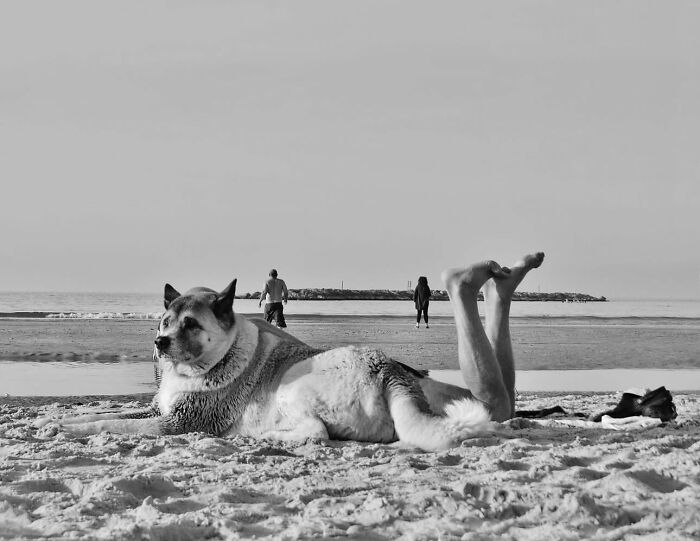 110 Powerful Street Photos That Reveal The Beauty Of Everyday Life