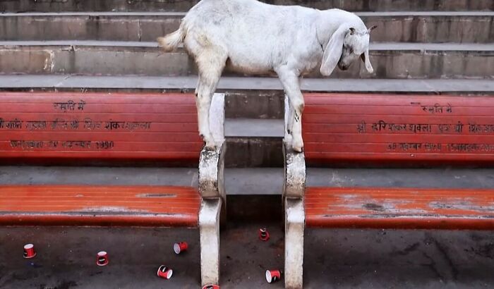 110 Powerful Street Photos That Reveal The Beauty Of Everyday Life
