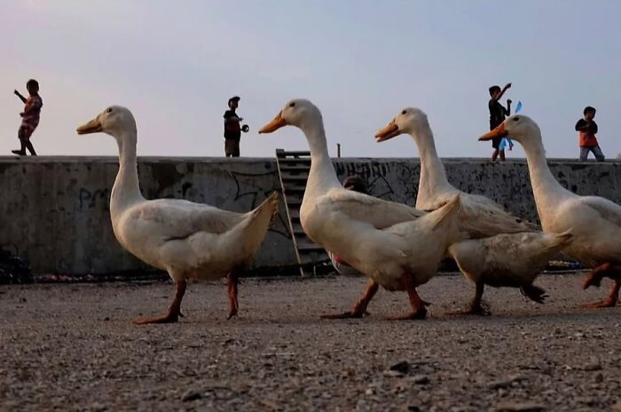 110 Powerful Street Photos That Reveal The Beauty Of Everyday Life