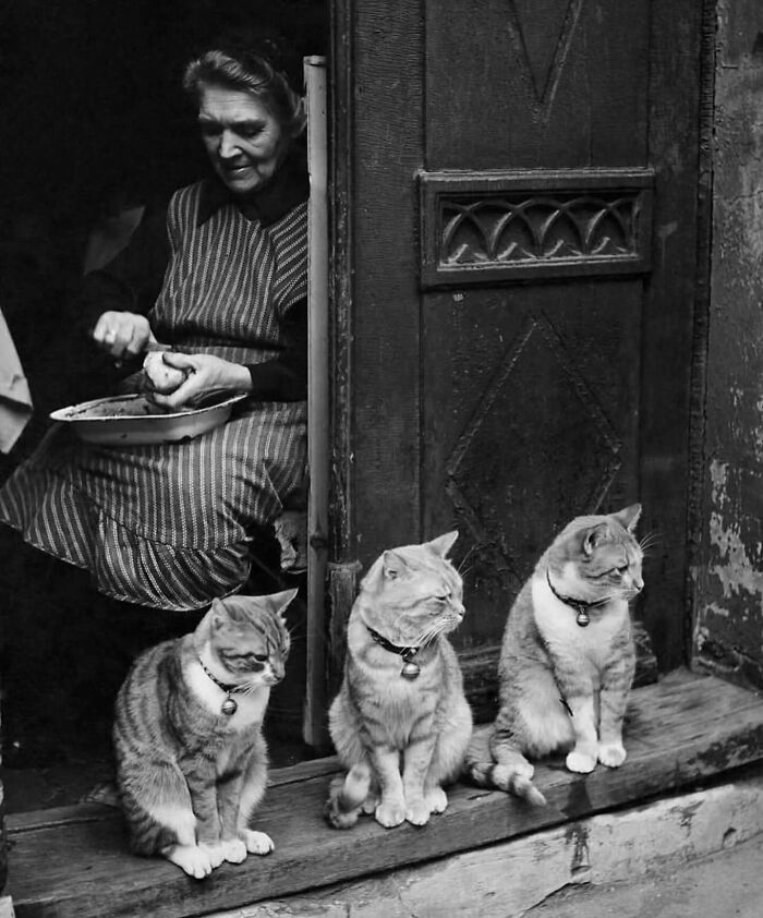 110 Powerful Street Photos That Reveal The Beauty Of Everyday Life