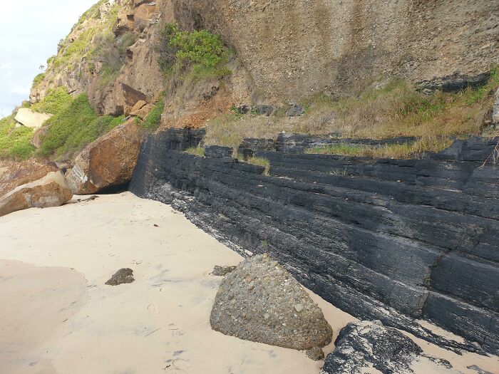 106 Interesting And Bizarre Things People Found At The Beach (New Pics)