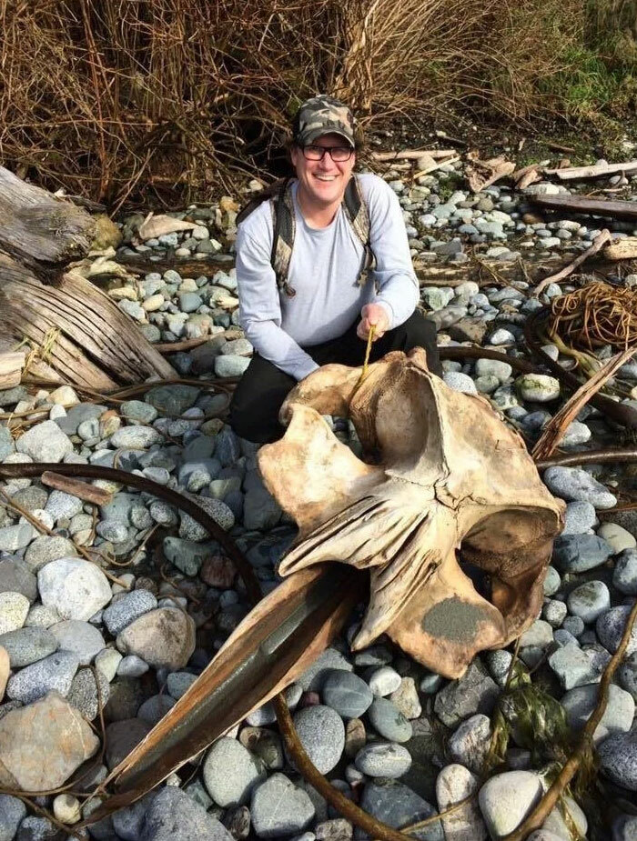 106 Interesting And Bizarre Things People Found At The Beach (New Pics)