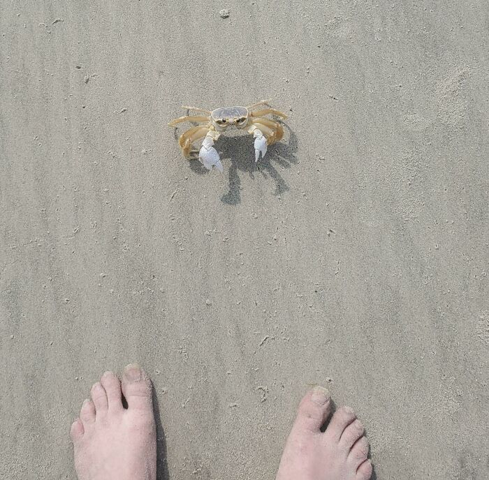 106 Interesting And Bizarre Things People Found At The Beach (New Pics)