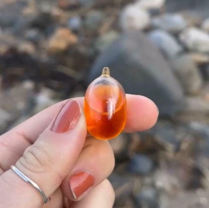 106 Interesting And Bizarre Things People Found At The Beach (New Pics)