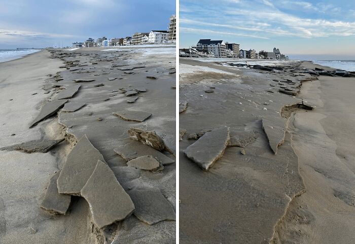 106 Interesting And Bizarre Things People Found At The Beach (New Pics)