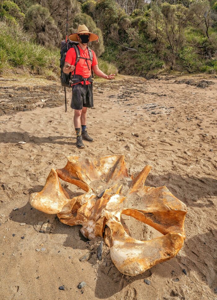 106 Interesting And Bizarre Things People Found At The Beach (New Pics)