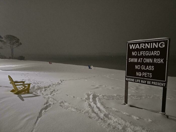 106 Interesting And Bizarre Things People Found At The Beach (New Pics)