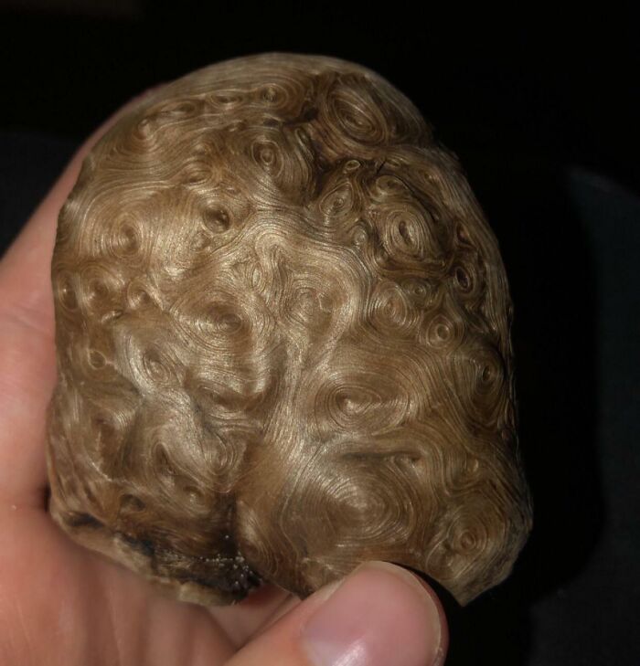 106 Interesting And Bizarre Things People Found At The Beach (New Pics)