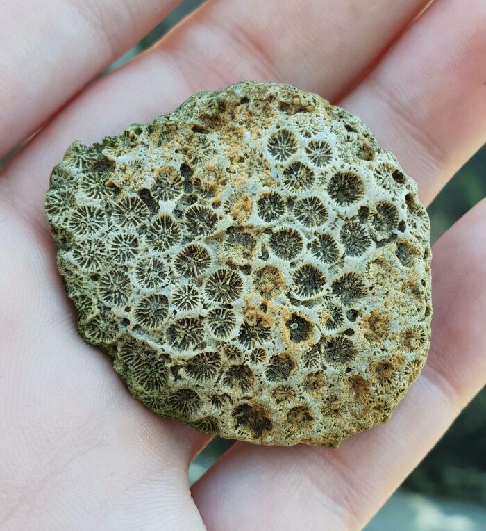 106 Interesting And Bizarre Things People Found At The Beach (New Pics)