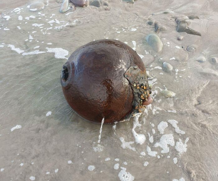 106 Interesting And Bizarre Things People Found At The Beach (New Pics)