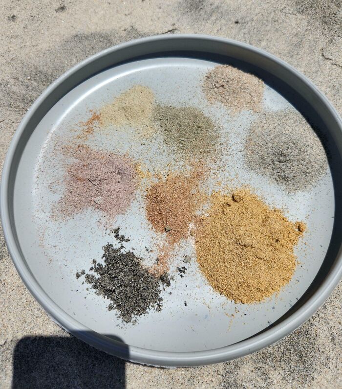 106 Interesting And Bizarre Things People Found At The Beach (New Pics)