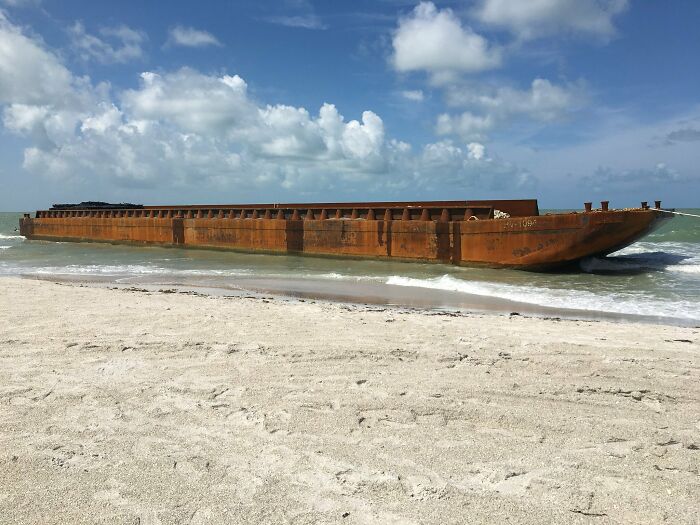106 Interesting And Bizarre Things People Found At The Beach (New Pics)