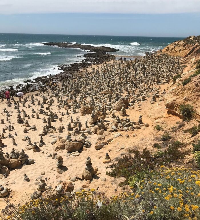 106 Interesting And Bizarre Things People Found At The Beach (New Pics)