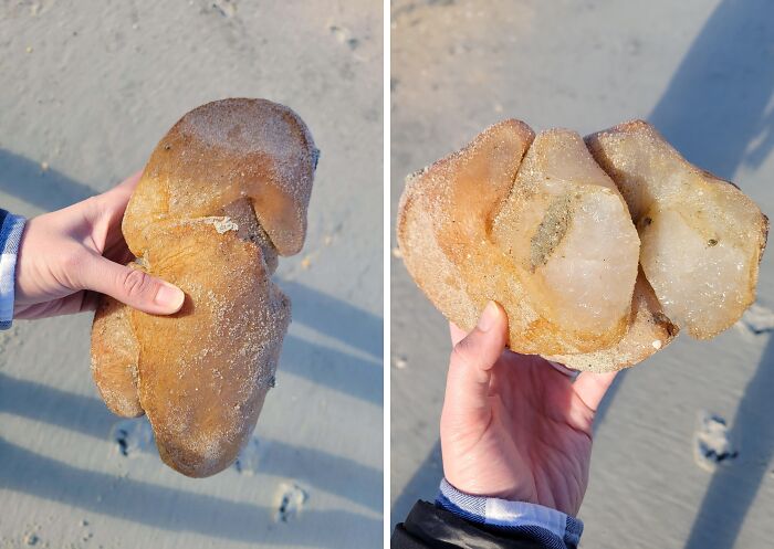 106 Interesting And Bizarre Things People Found At The Beach (New Pics)