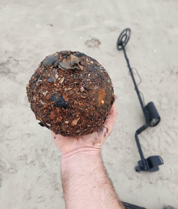 106 Interesting And Bizarre Things People Found At The Beach (New Pics)