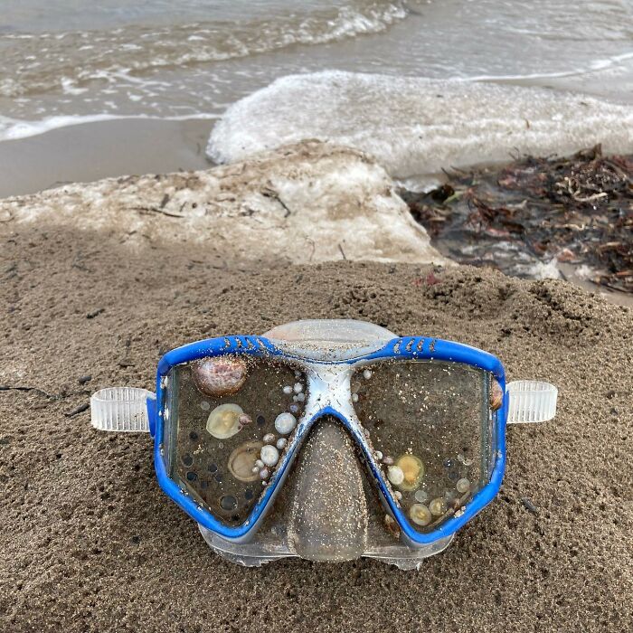 106 Interesting And Bizarre Things People Found At The Beach (New Pics)