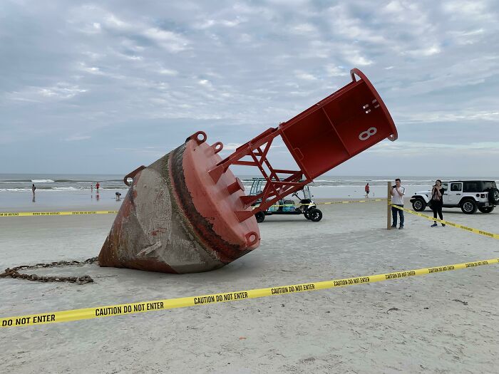 106 Interesting And Bizarre Things People Found At The Beach (New Pics)
